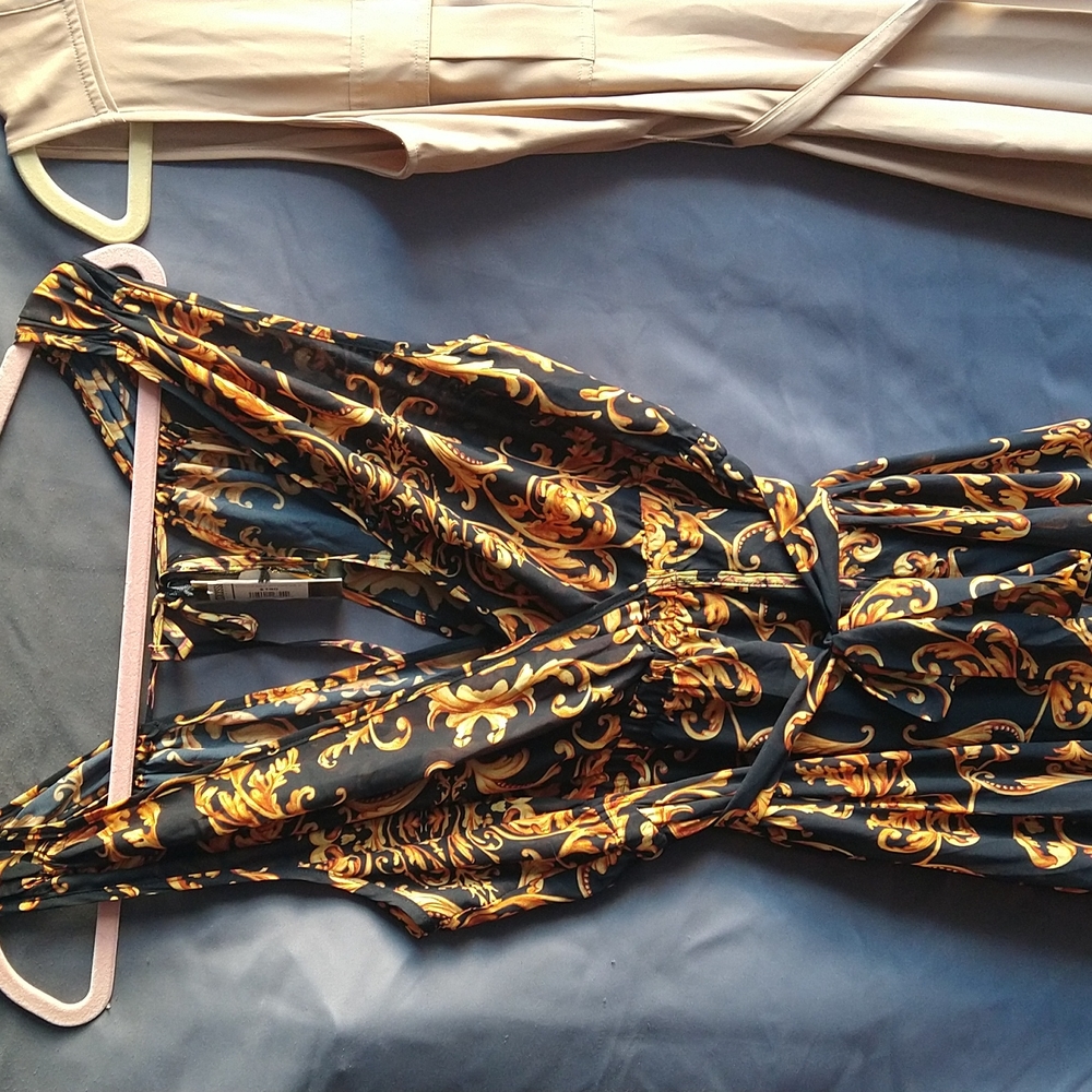 Dolcessa Vote Dress 2